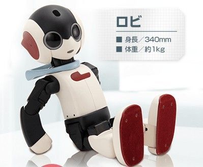 一家に一台 おしゃべりロボット Robi ロビ 世界のロボット